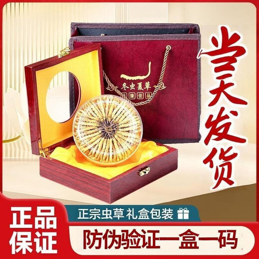 Cordyceps Sinensis Cordyceps Sinensis à haute altitude haute altitude Cordyceps Sinensis Box disponible. 2 1 gram Cordyceps sinensis dans le tibet nago cordyceps sinensis 10 pièces au total