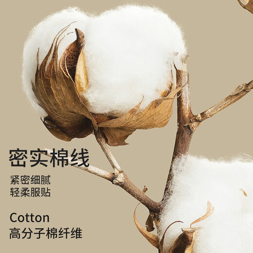 Langsha autumn trousers men's single piece pure cotton thin wool antibacterial knee pads men's cotton wool trousers warm line pants underpants dark gray XXL