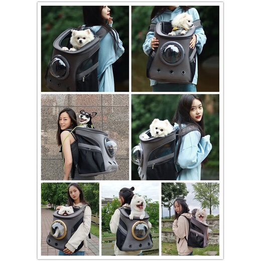 Japanese imported dog backpack, pet outing portable bag, dog backpack, book bag, Corgi Shiba Inu Maine Coon cat bag, large canvas khaki ---- gold accessories, standard four-piece set + clover
