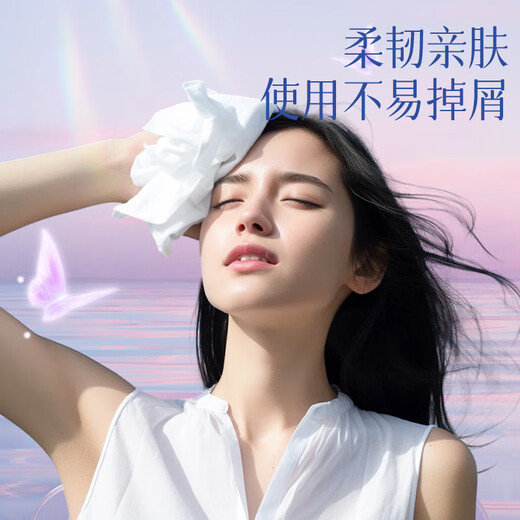 蓝漂悬挂式抽取卫生纸家用纸巾厕所家用抽纸 4层 1000张*1提 蝴蝶挂抽