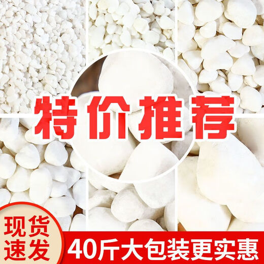 Small white stones, succulent paving stones, flowers, pebbles, rain flowers, stone fish tanks, landscaping, potted plants, courtyard paving, classic white stones 5A grade 5 Jin Jin equal to 0.5 kg / recommended 1-3 cm distinction