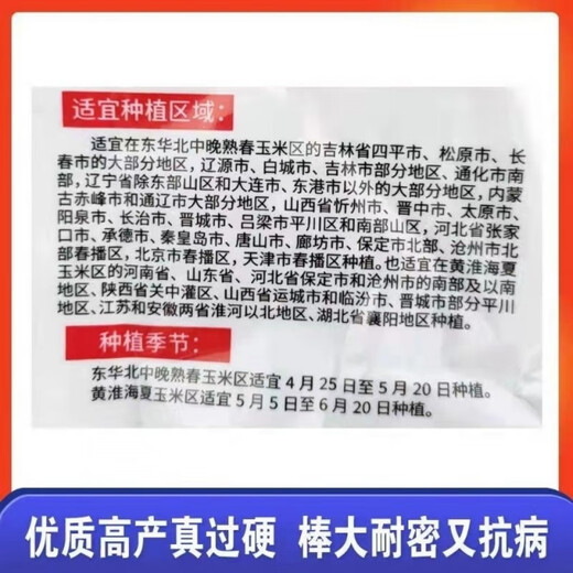 明天695高产玉米种子矮杆大棒耐密 明天695玉米种抗病抗倒伏 明天695玉米种子