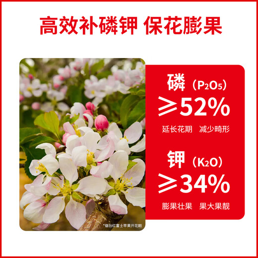 金正大磷酸二氢钾花肥叶面农用果树专用盆栽通用磷钾开花复合水溶肥 磷酸二氢钾【速溶颗粒】 5KG*1袋