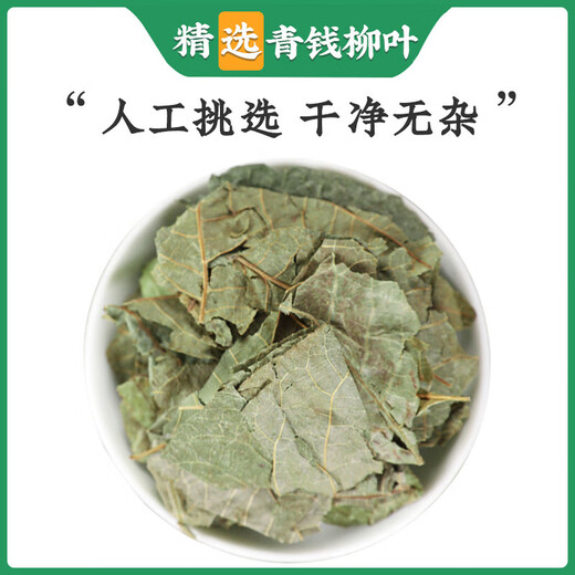 Jiujiuheren Qingqian Willow Leaf Chinesische Heilmaterialien: Jinqian Willow Tea Qingqian Willow Rindfleisch Tee Wasser Burdock Rasur Murata Health Tea [ausgewählt] Qingqian Willow Blatt 20g Tasche