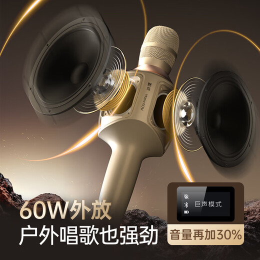 Charming Bird Big Sound Speaker Mic 60W Microphone Audio Integrated Microphone Home National TV K Song Car Singing Wireless Bluetooth Mobile Phone Live Recording Sound Card Equipment Set Big Sound Speaker Mic Flagship Deluxe Edition 3 Years Renewal + Luxury Gift Package