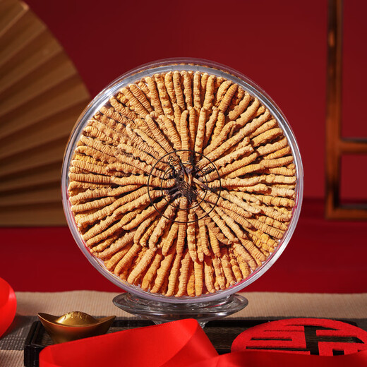 Zangxitang Cordyceps sinensis hohe Höhe neue getrocknete Cordyceps Geschenkbox mit getrockneten Gütern Cordyceps sinensis Kopfperiode 4 Wurzeln/g 100 g 400 Wurzeln insgesamt [Nährstoffmenge Pack]