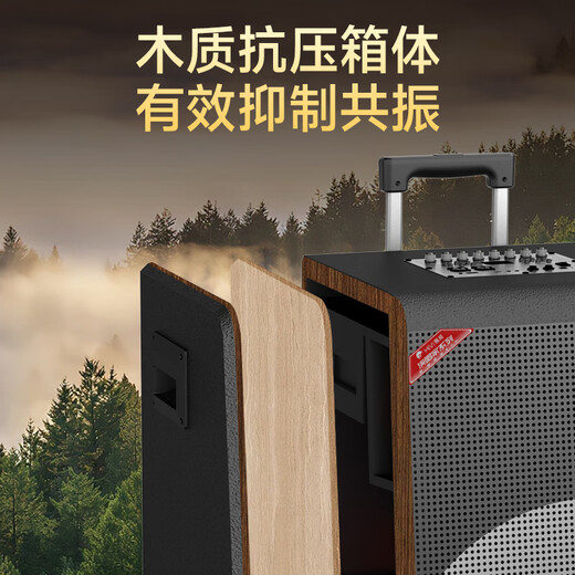 HiVi 15-inch high-end outdoor audio high-power square dance rod audio musical instrument speaker professional stage performance subwoofer dual microphone MY15