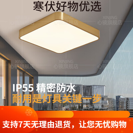 CLCEY全铜户外吸顶灯别墅大门口门前灯室外过道阳台灯防蚊虫庭 X3895-4 X3895-400/圆形/三色可调