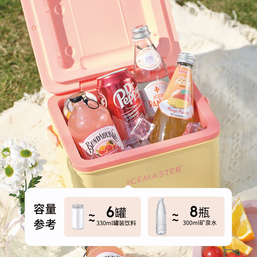 
Ice Master (ICEMASTER) insulation box small outdoor camping food refrigerated heat-keeping box portable fresh breast milk car ice box ice bucket 5L