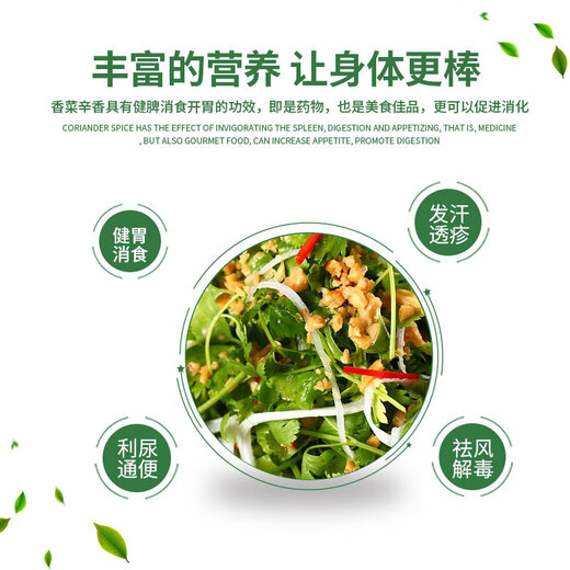 About 800 Huawari coriander seeds, seasoning vegetable seeds for all seasons, balcony potted plants/courtyard field seeds