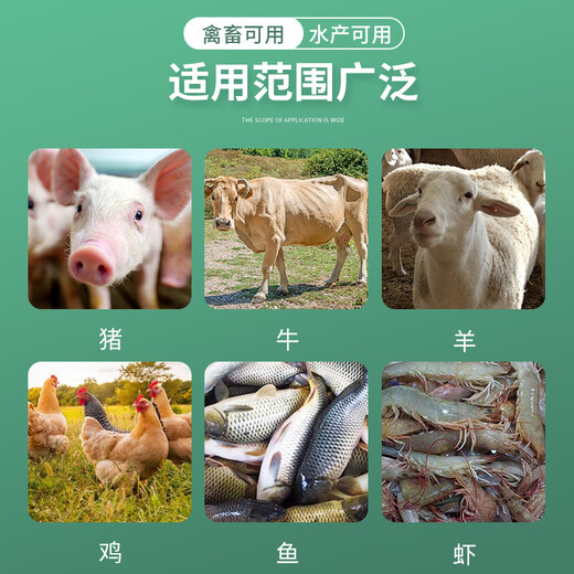 Allicin is used as an appetizer for pigs, cattle, sheep, chickens, ducks and geese. It can be used as an aquatic feed additive for pregnant animals. 10kg/barrel