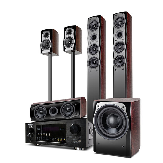 山水（SANSUI） F8 5.1无线家庭影院 木质家庭KTV音响套装 卡拉OK 落地式家居音响 5.1豪华版【高配功放10A】