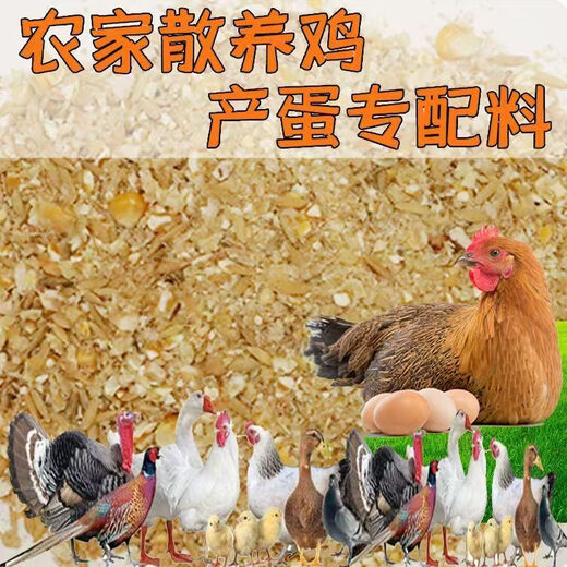 Laying hen feed full price feed chicken corn crumbs laying hen medium and large chicken household chicken food duck quail chicken feed 20Jin Jin is equal to 0.5 kg layer hen feed