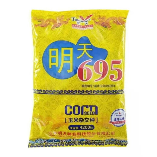 明天695玉米种子耐密植抗倒伏大马牙抗高温抗干旱高产稳定品种 原厂包装1袋4200粒（送叶面肥）