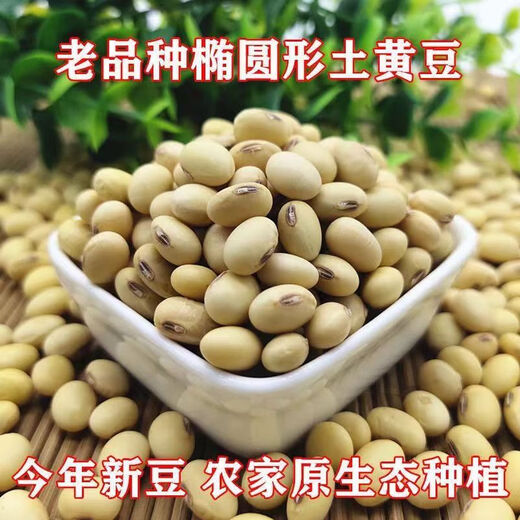 Traditional old variety oval black navel soybean seeds large high yield drought resistant edamame seeds vegetable seeds traditional old variety soybean seeds 50g
