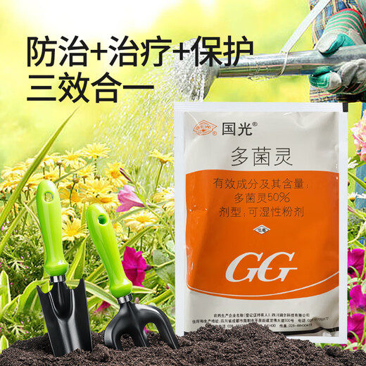 Guoguang 50% fungicida de carbendazim en polvo, bacterias especiales para el mildiú polvoriento de la mancha negra de la hoja amarilla, medicamento de uso común para las enfermedades de las flores de rosas suculentas