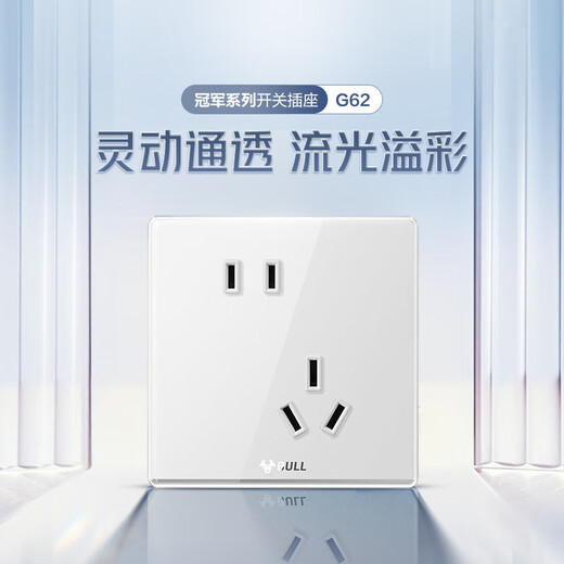 公牛（BULL）亚克力插座量贩装10A斜五孔插座面板G62Z223A白色10只插座套装