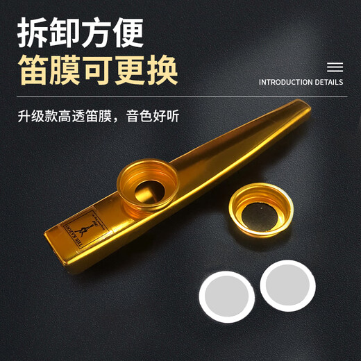 
Maetani Kazu Di Mo majoring in Kazoo Metal Performance Level Small and Large Guitar Ukulele Accompaniment Unpopular Musical Instruments [Advanced Tone Better] Extreme Silver Full Set of Gifts + Spare Flute