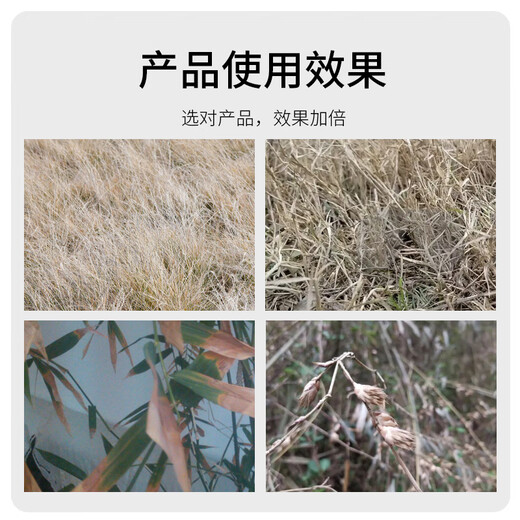 Kexin cyclazinone is a special herbicide for removing weeds from large trees, bamboo shrubs, dead trees, and rotten roots of large trees.