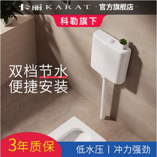卡丽科勒卡丽卫浴3/6升蹲便器水箱静音大冲力挂壁式双按键11978T-M-WK 3/6升水箱11978T-M-WK