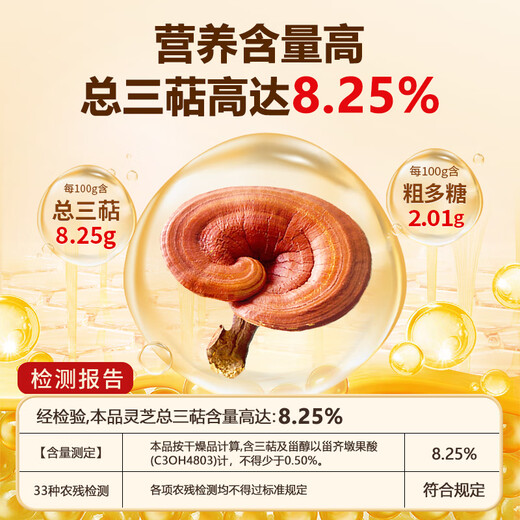 Jinglemei Big Package] Break-block Ganoderma lucidum spore powder Changbai Mountain rich in spore oil for middle-aged and elderly people to strengthen the spleen and stomach to nourish the essence and energy. Massage package [1500g]