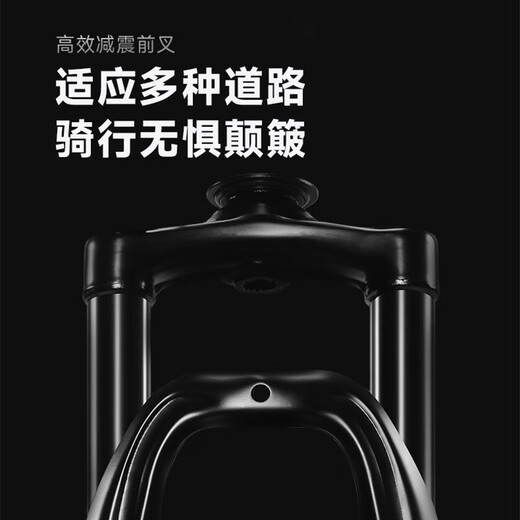 PHILLIPS mountain bike youth bicycle adult male and female student variable speed road bicycle bicycle gray 24 speed 27.5 inch