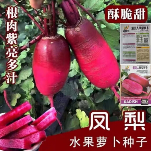 
[3341 pieces in 30 days] Pineapple fruit radish seeds raw Purple beauty radish Rouge radish seeds Summer four Premium original [1098 pieces] Five packs Fruit-type pineapple radish seeds (new seeds this year)