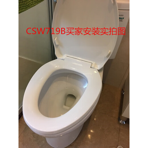 Toto Original SW784B CSW718B CSW728B SW743B CSW719B SW744B Коня Оригинал TotoSW784BCSW718BCSW