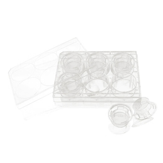 Sélection de Labelect de 24 puits à 6 puits à 12 puits PC / Membrane de compagnie Plaque de culture de chambre cellulaire Transwell 12 puits (membrane de compagnie de Pet 12 mm taille de pores 0,4 m) 1421