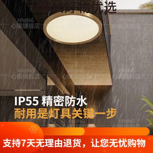 全铜户外吸顶灯别墅大门口门前灯室外过道阳台灯防蚊虫庭 X3893-500/方形