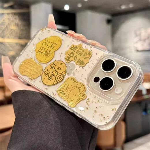 朗菱适用iphone16pro手机壳苹果16pro保护套 高级感金箔超薄全透明防摔软壳男女款 公主请发财