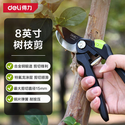 Deli tools pruning pruning scissors flower branch pruners fruit tree gardening pruning pruning branches floral pruners labor-saving large thick branches 8-inch labor-saving thin branch shears-DL580201