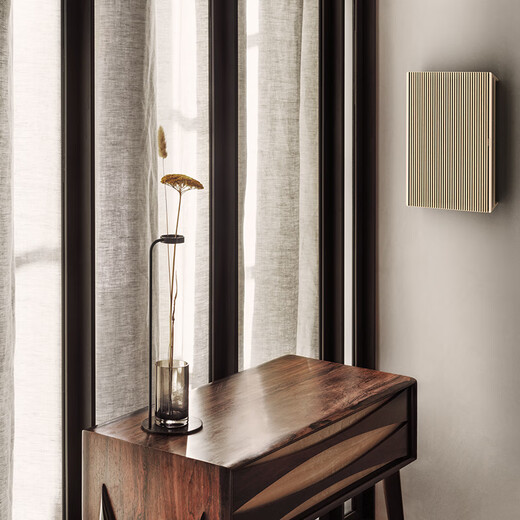 B&O Gong Jun endorses Beosound Level Bluetooth speaker, portable home high-end art audio, b& audio, light oak color, national subsidy, New Year gift