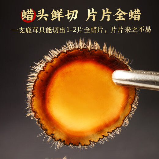 宜露鹿茸片全蜡片6克鹿茸蜡片精选顶部全蜡小片腊片鹿角胶泡酒药材