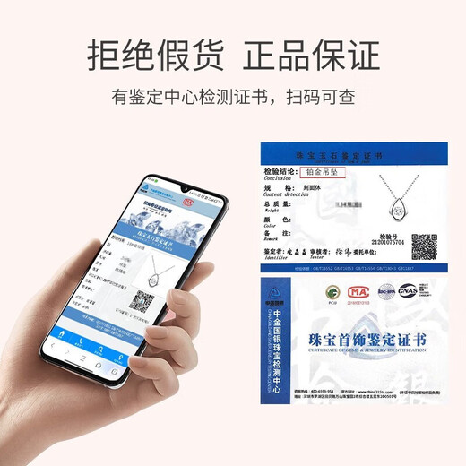 Grace Girl Platinum Rupert's Tears Necklace Women's Exquisite Water Drop Pendant Platinum pt950 Gift for Girlfriend Platinum Water Drop Necklace + Light Luxury Gift Box