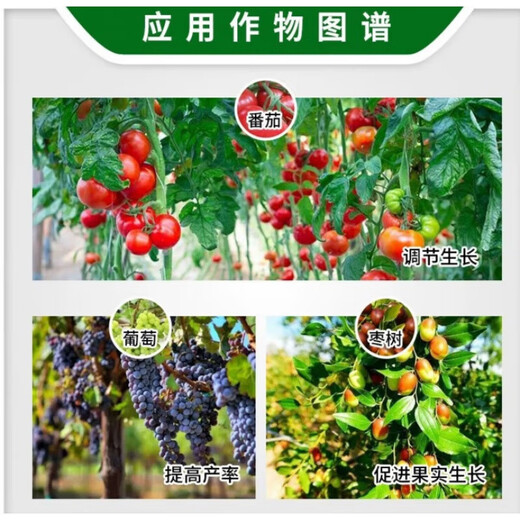 Thidiazuron grape fruit-setting spirit increases yield and promotes growth and expansion agent growth regulator 120ml 5 boxes