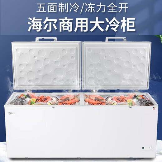 Haier (Haier) Großer Gefrierschrank für Handelsbauern Markt für Meeresfrüchte voll einfrierige Kühlung und Frischwechsel Eintemperatur Einkasten Großkapazität Küche Catering Rückenküche Horizontaler Kühlschrank Eiscreme-Gefrierschrank 829 Liter 2 Meter 1 supergewachsen
