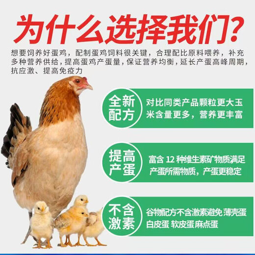Factory direct sales 80 Jin Jin equals 0.5 kg layer hen feed for hens, egg laying broiler fattening pellets, full price nesting breeding special 20 Jin Jin equals 0.5 kg layer hen feed