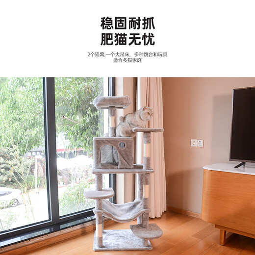 珑小宠猫爬架猫窝加粗大型猫树一体太空舱猫架子小户型不占地麻绳猫玩具 140cm 5层 【浅灰色多猫款】