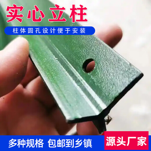 Lu'an Zongsen triangle solid column barbed wire fence column cast iron pointed column thickened rust-proof outdoor fence net iron column 1.8 meters high Y-shaped thickened (solid) 10 pieces