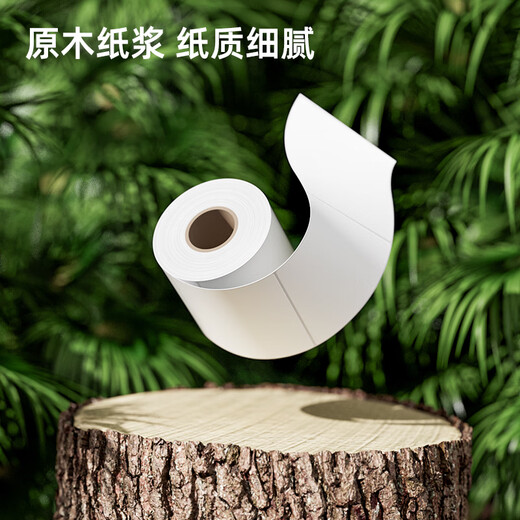 得力（deli）热敏收银纸 57*40型36卷 11米/卷 美团饿了么外卖打印纸 pos打印纸 酒店超市收银小票纸 【12107】80*50mm-960枚白/1卷/筒