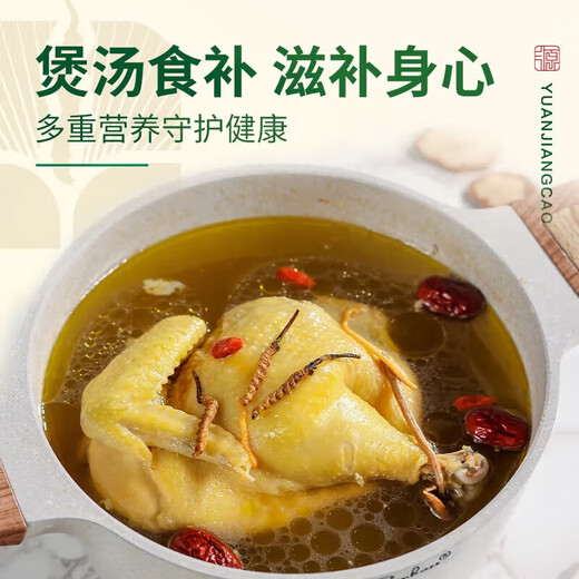 Yuanjiang grass Cordyceps sinensis New dried cordyceps tonics for parents and elders to nourish high-end gift boxes 3-4 roots/g 20 grams [Cordyceps king]