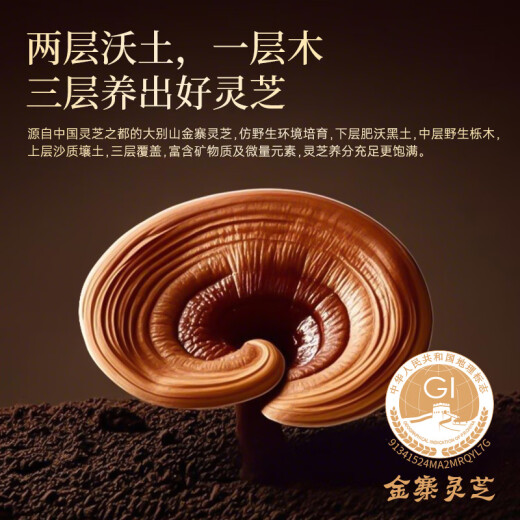芝正元破壁灵芝孢子粉胶囊礼盒三萜16%进阶款 送父母自用补品端午节送礼