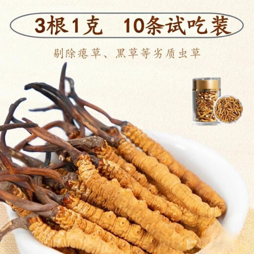 【假一赔十】雪山冬虫夏草正宗藏区虫草正品冬虫草礼盒装虫草干货 西藏那曲虫草3条一克合计10条