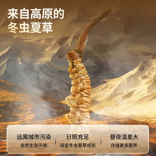 
Tongrentang brand Cordyceps sinensis 5 pieces/g100g about 500 gift boxes for high-end nutritional tonics for the elderly Beijing