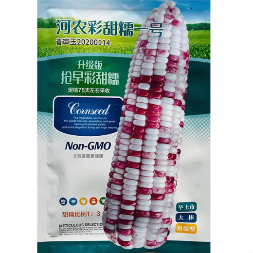 White, sweet and waxy corn seeds, high-yielding, sown in all seasons, white and waxy corn, non-transferable, national-approved, farmers’ super-sweet and waxy corn seeds, Xinnuo 628 corn seeds, original 200g, 1 bag