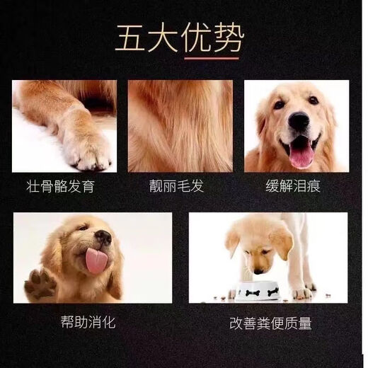 Baiman puppy special milk cake dog food Teddy Bichon VIP Pomeranian 1-12 months small dog puppies puppy milk cake food Beef nutritional fattening staple food (puppies) 1 Jin Jin equals 0.5 kg Trial pack (returnable after opening)
