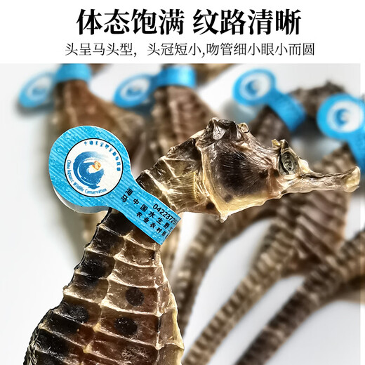 Haima medicinal materials, one male and one female, large seahorse dried wine combination, hexagonal sea dragon sea sparrow nourishing soup gift box 1 pair 4 grams (2 male and female 12-13cm)