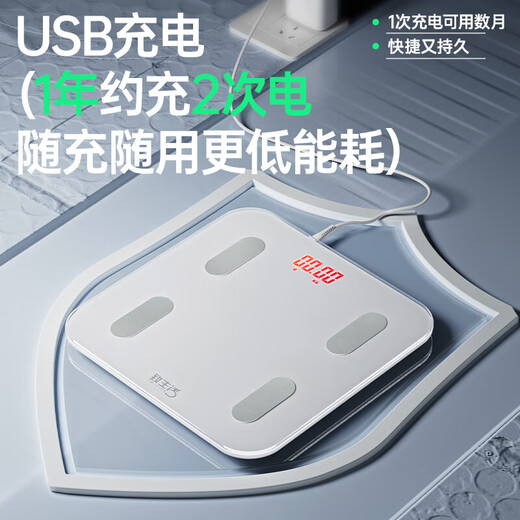 致生活精准体重秤电子秤人体智能体脂秤高精准家用电子秤体重秤小型充电体脂秤家庭减肥人体称 体重秤充电款白色-明星代言