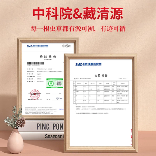 
Zangqingyuan [First stubble fresh grass in 2025] Fresh Cordyceps sinensis, fresh Cordyceps in the first stage, fresh grass selection gift box, fresh grass 0.7g/root, 30 roots